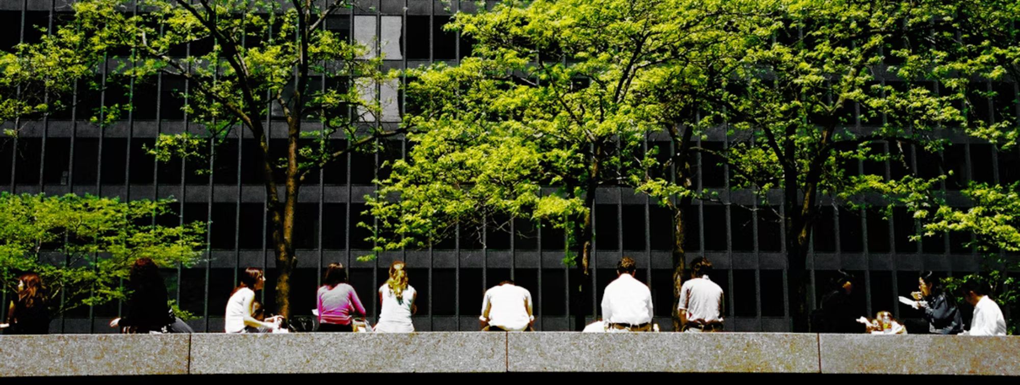 Group of people sitting under trees in front of an office building